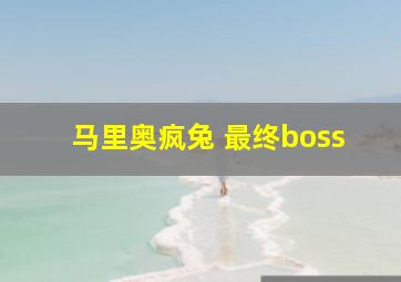 马里奥疯兔 最终boss